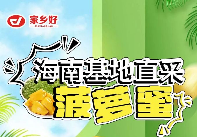 【家鄉(xiāng)好超市】新品推薦 | 海南基地直采菠蘿蜜 苞大肉厚 果肉Q脆 美味香甜又有營養(yǎng)~~